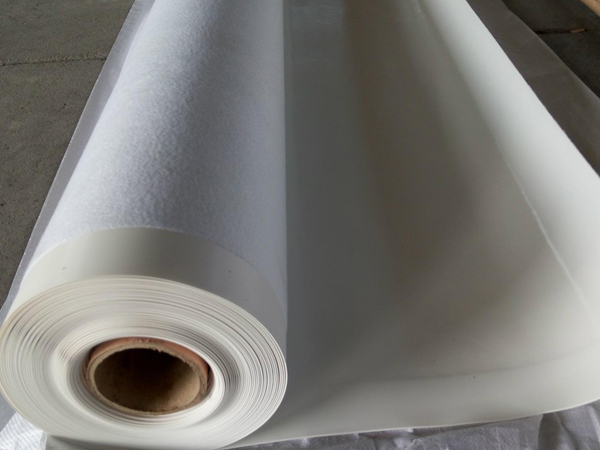 Thermoplastic polyolefin (TPO) waterproofing membrane