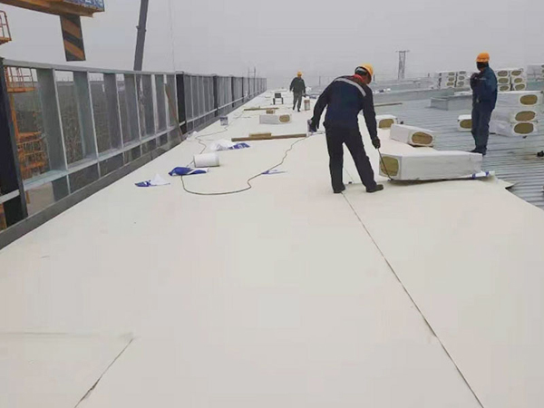 Thermoplastic polyolefin (TPO) waterproofing membrane