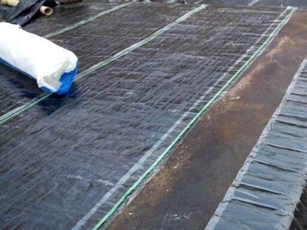 Polymer modified asphalt root puncture resistant waterproofing membrane