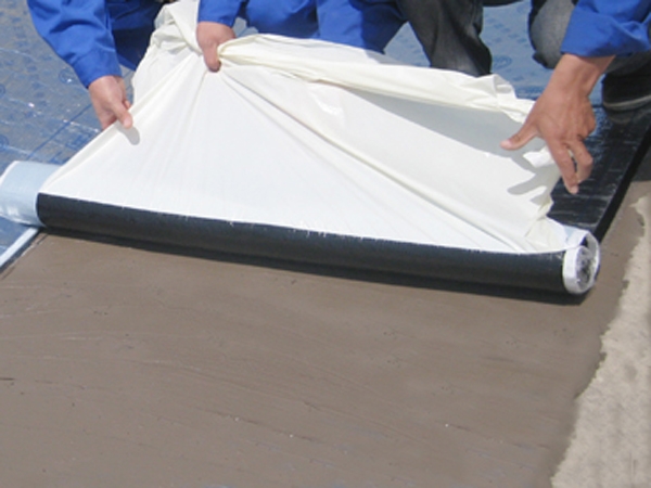 Polymer modified asphalt root puncture resistant waterproofing membrane