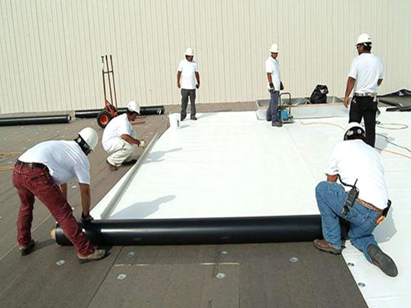 Colored wide width polyvinyl chloride (PVC) waterproof